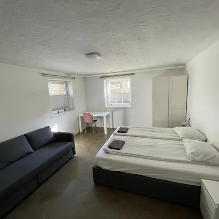 Huge Bbq Garden 1, Basement App Two Bathrooms, Ac, Free Parking Apartment