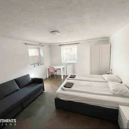 Huge Bbq Garden 1, Basement App Two Bathrooms, Ac, Free Parking Appartement