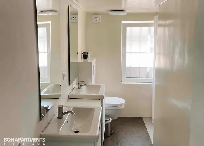 Huge Bbq Garden 1, Basement App Two Bathrooms, Ac, Free Parking * לובליאנה