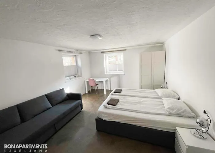 Huge Bbq Garden 1, Basement App Two Bathrooms, Ac, Free Parking Apartmán